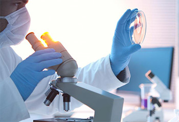 études scientifiques cetone framboise